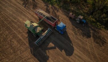 Trys ES šalys piktinasi prekybos susitarimu su Ukraina - Delfi