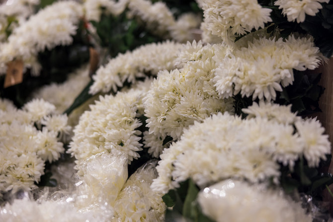 „Maxima“ nuotr./Dirbtinės gėlės MAXIMOJE