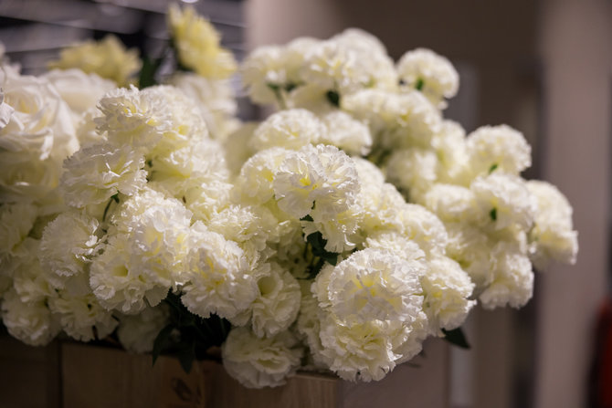 „Maxima“ nuotr./Dirbtinių gėlių pasirinkimas MAXIMOJE