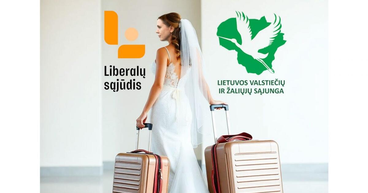 Elito naujienos: Dovilės Šakalienės politika