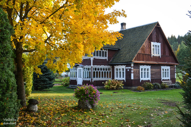 „Vieškeliu dundant“ (Ados Alejūnaitės) nuotr. / Dubininko kaimas (Varėnos r.)