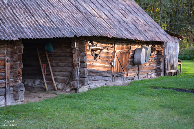 „Vieškeliu dundant“ (Ados Alejūnaitės) nuotr. / Dubininko kaimas (Varėnos r.)