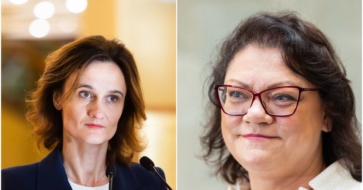 Jakubauskienės žodžiai įžiebė liberalų pasipiktinimą: tai yra rimtas kaltinimas