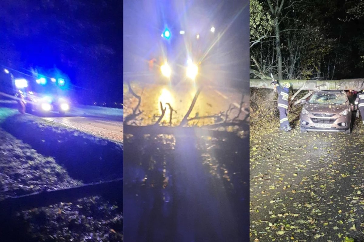 Lenkijoje siaučia didelės audros - Delfi