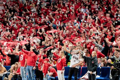 Vilniaus ''Rytas'' sirgaliai