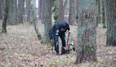 Apie mįslingą tragediją Šiaulių miške – iš pirmų lūpų
