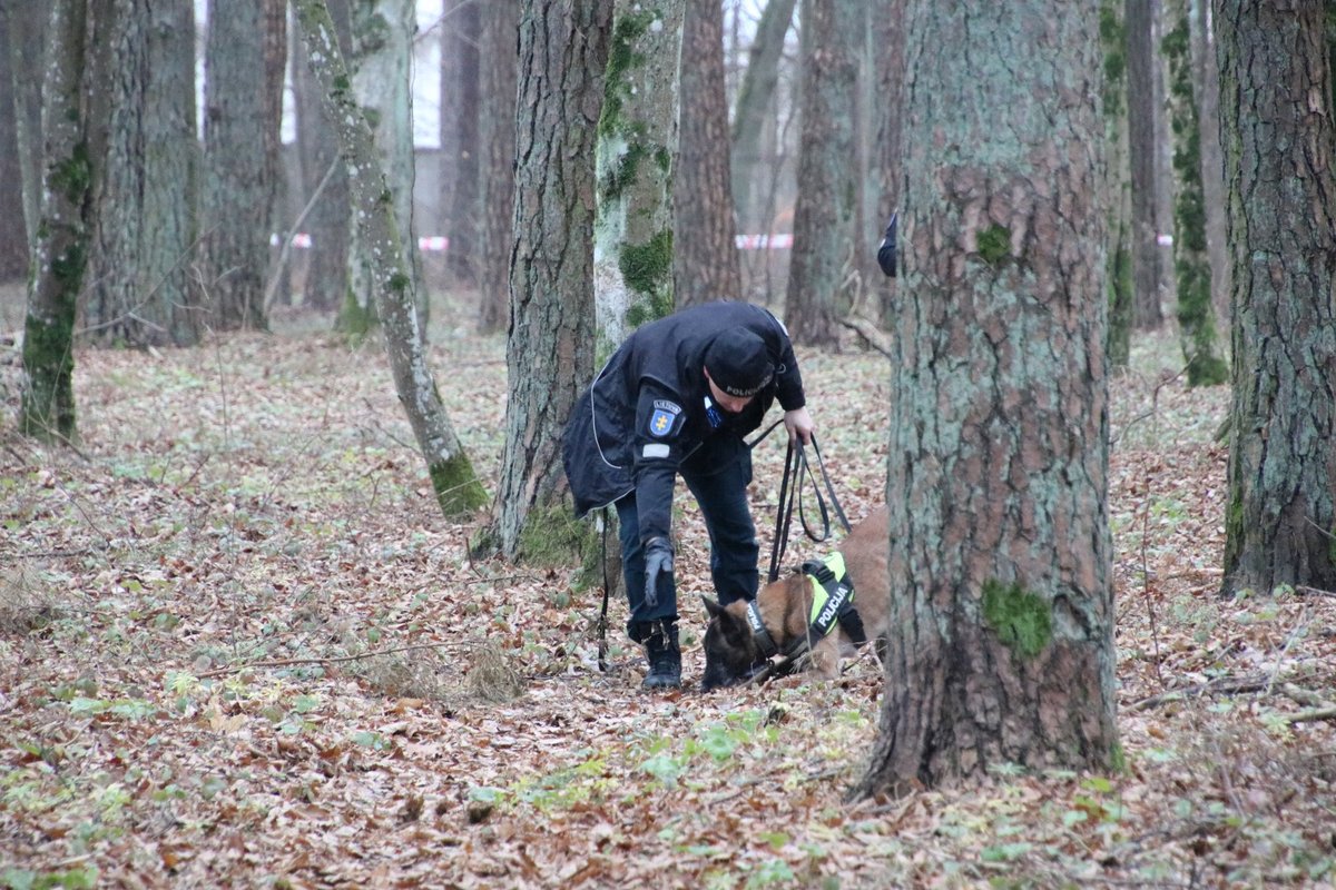 Apie mįslingą tragediją Šiaulių miške – iš pirmų lūpų