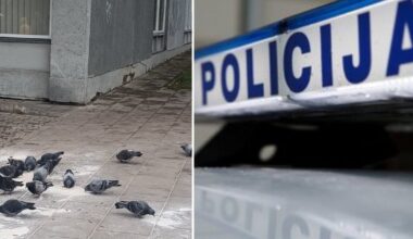 „Baisu po tokių patyčių“ – žiaurią mergaitės išjuoką užfiksavęs praeivis negalėjo tylėti