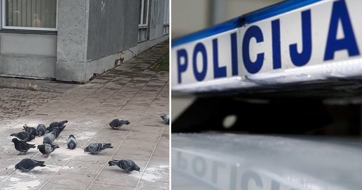 „Baisu po tokių patyčių“ – žiaurią mergaitės išjuoką užfiksavęs praeivis negalėjo tylėti