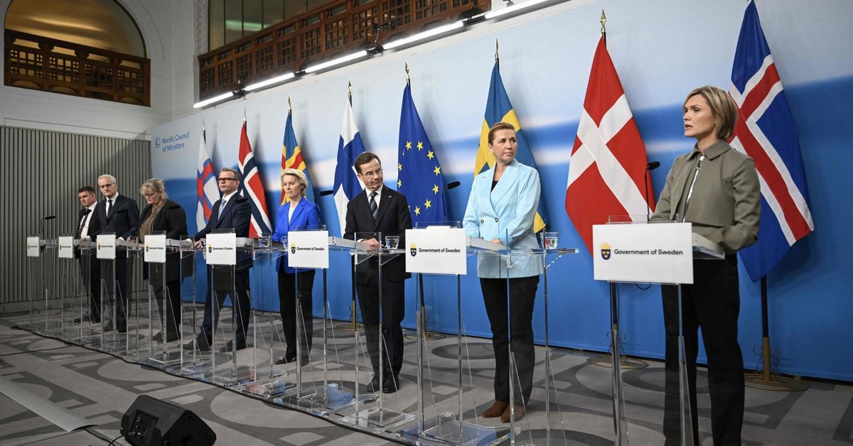 EK vadovė ir Šiaurės šalys įsitikinusios, kad gruodį bus pasiektas susitarimas dėl Rusijos turto