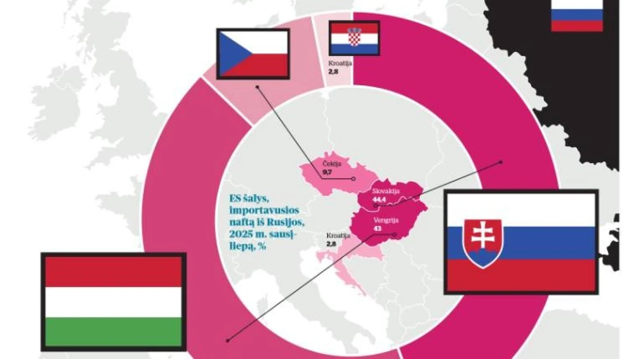 Infografika: kiek rusiškos naftos importuojama į ES