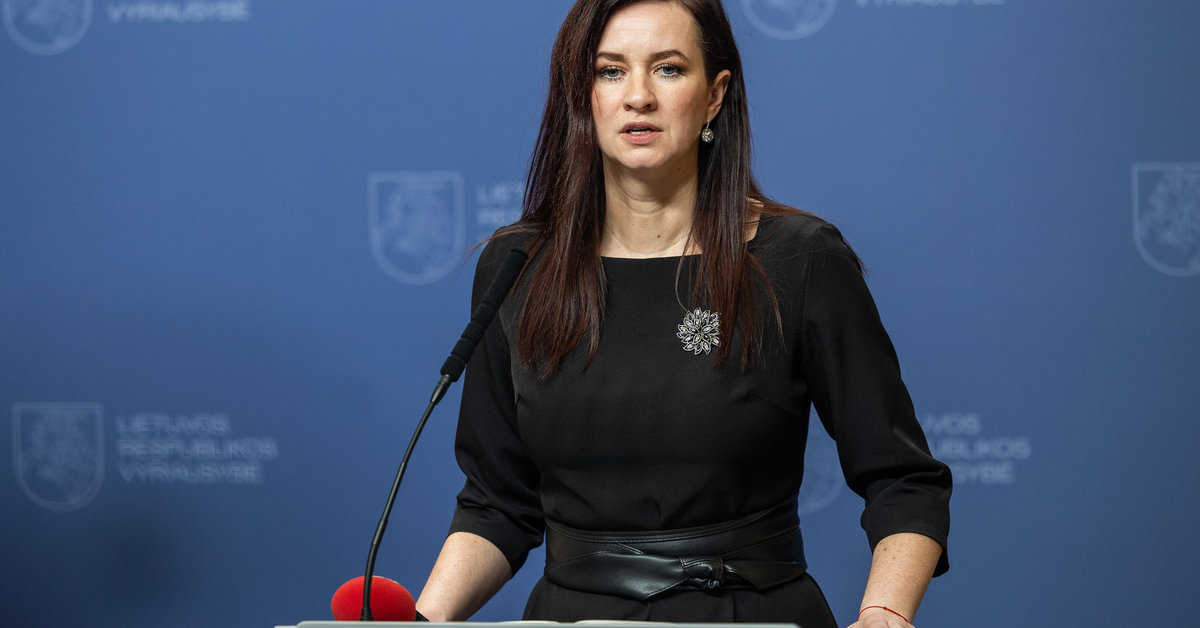 Inga Ruginienė prabilo apie kandidatą į krašto apsaugos ministrus: „Partiškumas nėra būtiniausia sąlyga“ - 15min.lt