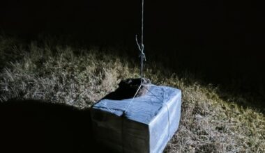 Pasieniečiai paskelbė naujausią informaciją apie kontrabandinius oro balionus iš Baltarusijos