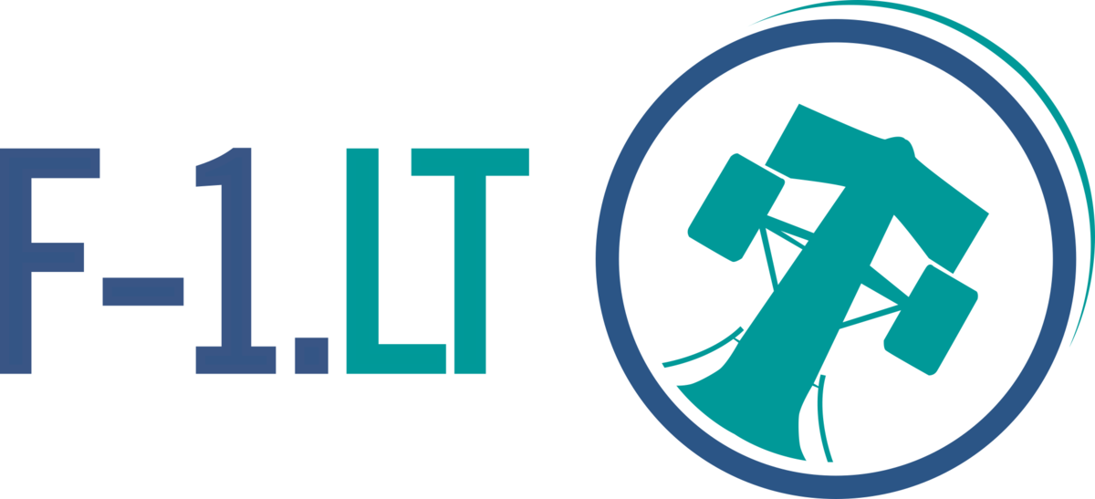 Pigiausiai kainuoja kelionė elektromobiliu – išlaidos 100 kilometrų siekia 5,24 euro / Komentarai