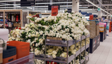 Kapus tautiečiai puošia ne tik gyvomis, bet ir dirbtinėmis gėlėmis: dabar joms „Maximoje“ – 60 proc. nuolaida | Verslas