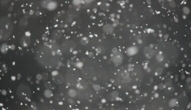 Orai Lietuvoje virs absoliučiu chaosu: sinoptikai įspėja visus gyventojus, būtina pasiruošti jau dabar