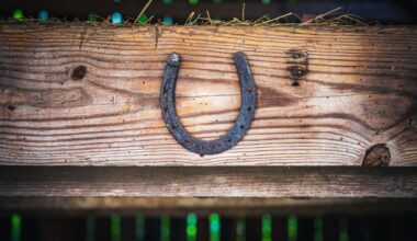 Lapkričio pradžioje jūsų laukia pasakiški turtai: įvardijo tris Zodiako ženklus, kurie taps pinigų sinonimu