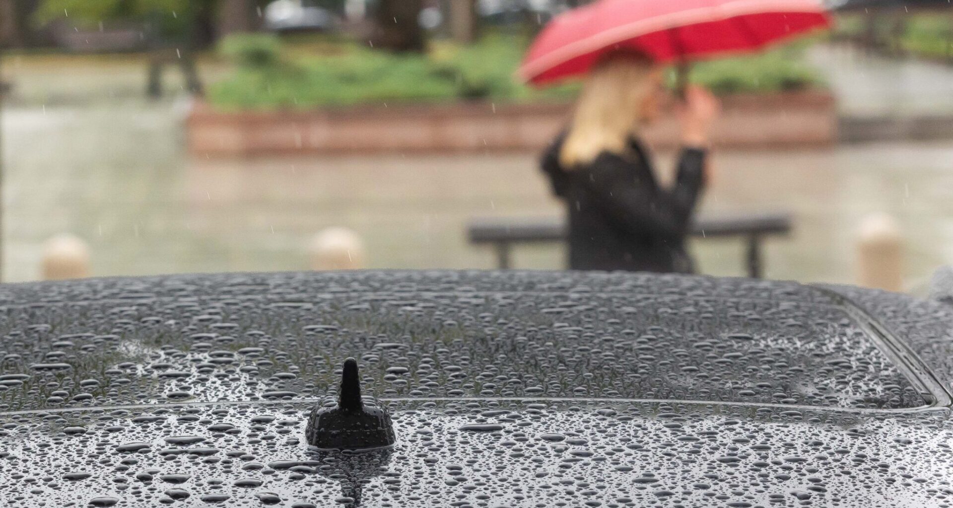 Sinoptikė: rudeniška dargana numatoma visą savaitę