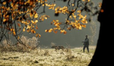 Spalio 9 d. vardadieniai ir kitos įdomybės - Respublika.lt