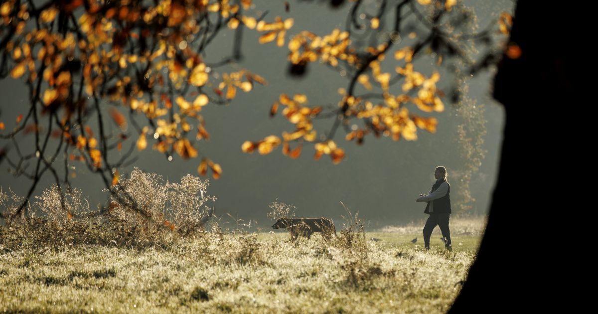 Spalio 9 d. vardadieniai ir kitos įdomybės - Respublika.lt