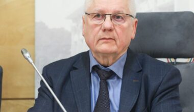 Vytautas BUDNIKAS: Alternatyvūs galios centrai, protestų fabrikas ir kam naudingi kultūros darbuotojų protestai - Respublika.lt