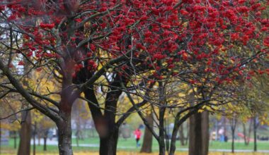 Spalio 28 d. vardadieniai ir kitos įdomybės - Respublika.lt