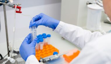 Luvro plėšikai nustatyti po DNR tyrimo - Respublika.lt