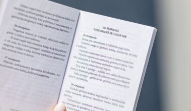 Arūnas ABROMAITIS: Partijų agentai tarp Konstitucijos dvasių - Respublika.lt
