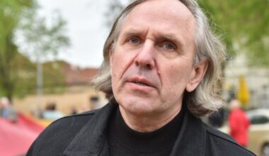 Valdas VIŽINIS: Apie kultūros „širšes" ir nelaimėlį ministrą - Respublika.lt