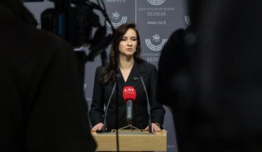 Premjerė: iš savo pusės padariau labai didelį žingsnį ir neatidėliojau sprendimo dėl Adomavičiaus - Respublika.lt