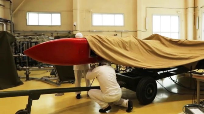 Socialinių tinklų nuotrauka/Rusijos raketa „Burevestnik“