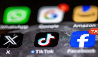 ES apkaltino „Meta“ ir „TikTok“ pažeidus skaitmeninio turinio taisykles