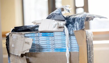 Kontrabandiniai balionai Lietuvos padangėje: nepadaryti politikų namų darbai