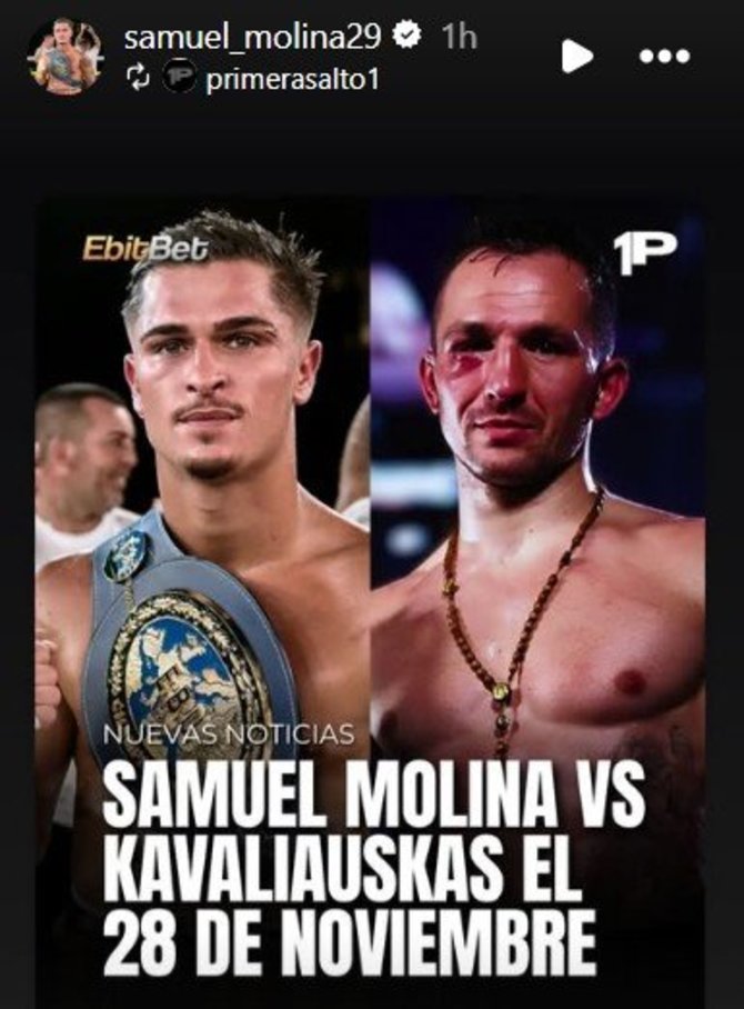 @samuel_molina29 nuotr./Viena iš Samuelio Molino istorijų „Instagrame“