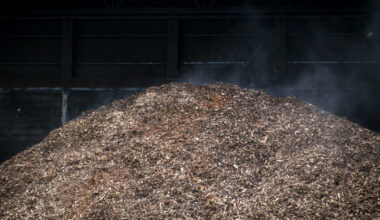 VERT: biokuro kainos šį šildymo sezoną prognozuojamos mažesnės | Verslas