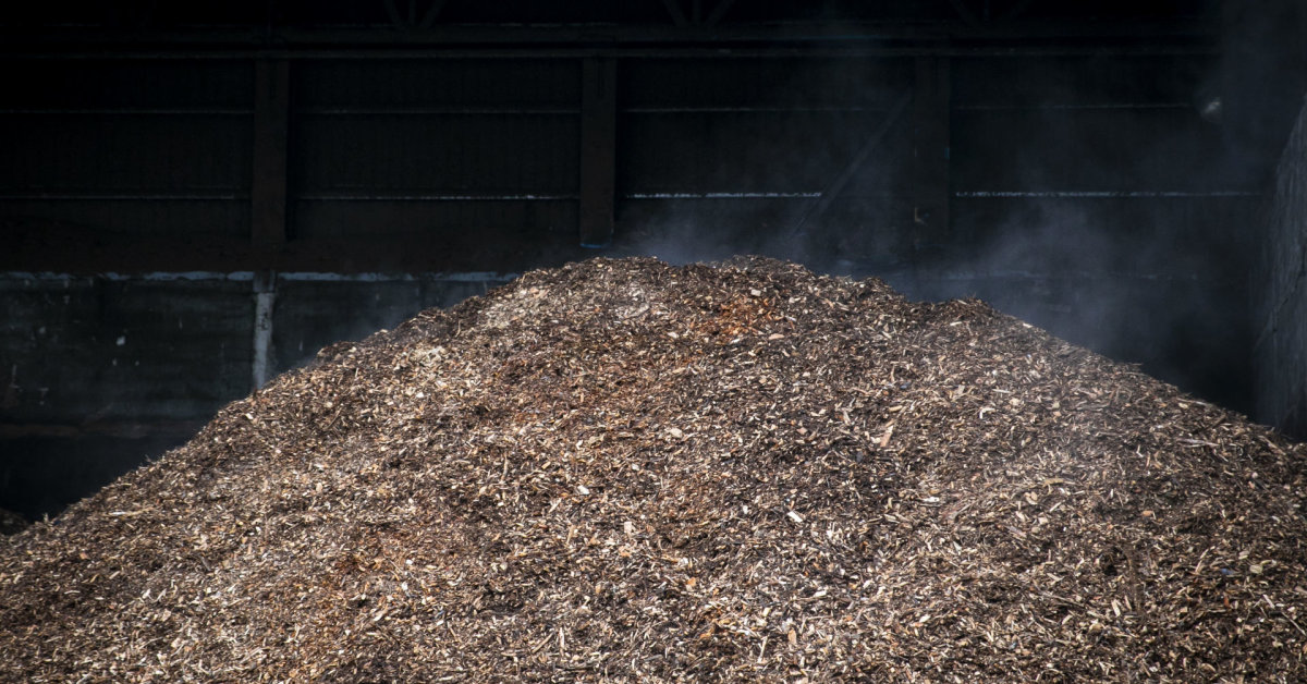 VERT: biokuro kainos šį šildymo sezoną prognozuojamos mažesnės | Verslas