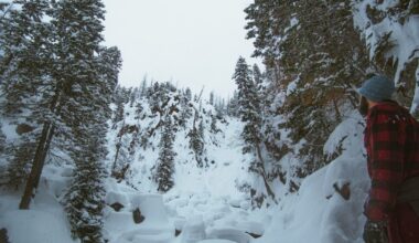 Ar ši žiema bus šilčiausia per 100 metų? Meteorologai prognozuoja keistus reiškinius, būtina suklusti
