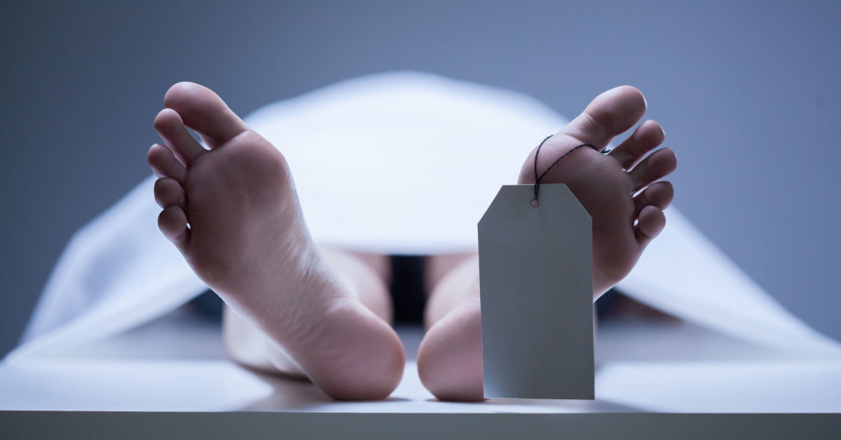 Lavonų kvapas įspėja apie grėsmę: ką atskleidė mokslininkai? | Verslas