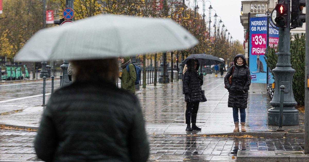 Palygino elektros ir dujų kainą Lietuvoje ir kitose ES šalyse: šito nesitikėjo