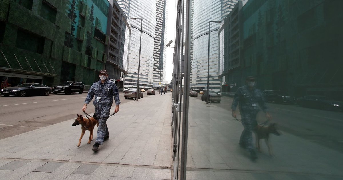 Maskvoje – pasiutligės protrūkis: dalyje miesto paskelbtas karantinas