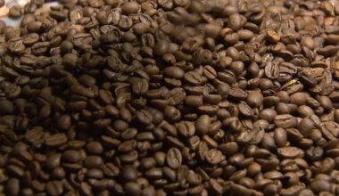 Belgijos startuolis žirnius siūlo naudoti kaip alternatyvą kavos pupelėms