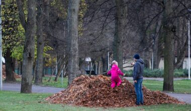 Po lietingos savaitės pradžios – gamtos dovana