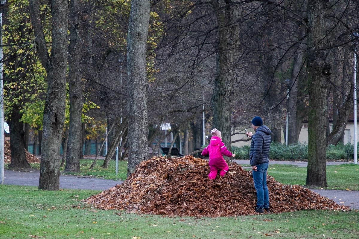 Po lietingos savaitės pradžios – gamtos dovana