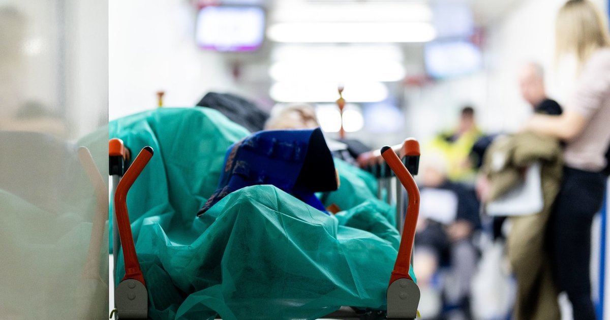 Turistinis autobusas su 2 lietuviais pateko į didelę avariją Egipte: pasakė, kokia jų būklė