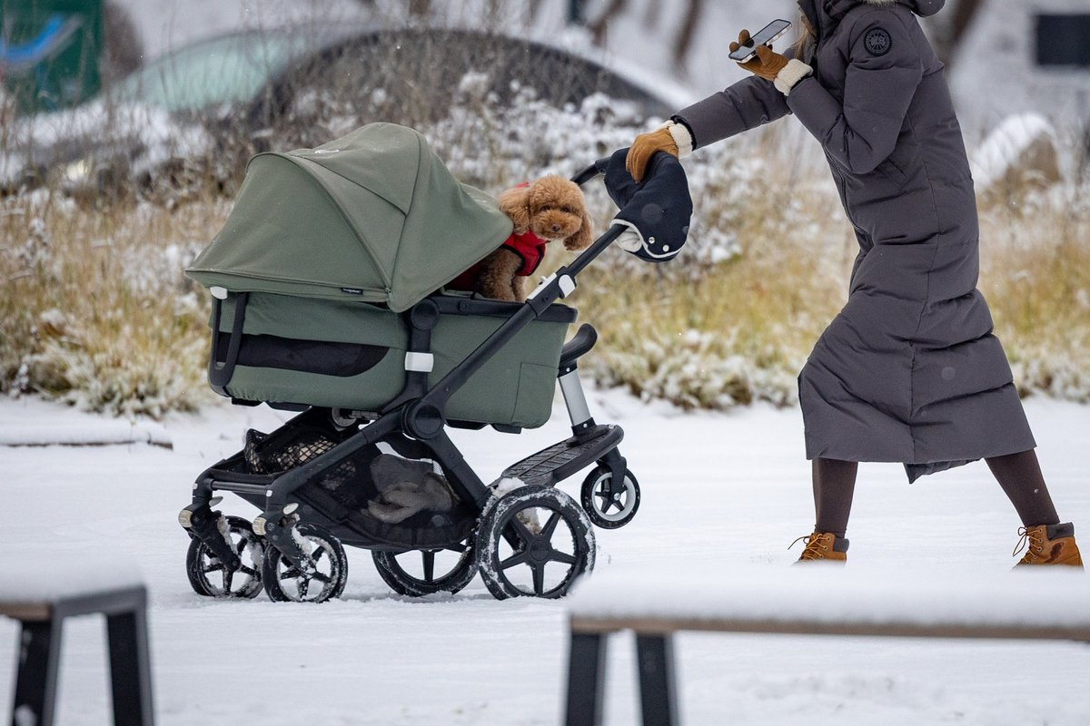Vilnių nuklojo sniegas: orų prognozė visai Lietuvai