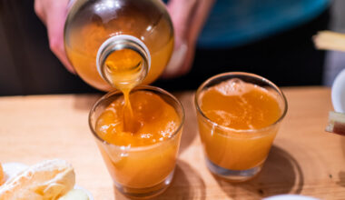 Kas nutinka jūsų žarnyne išgėrus kombučos? Tyrimų rezultatai pranoko lūkesčius