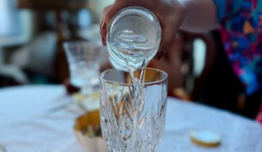 Tęsiantis vandens krizei, valstybinė Irano žiniasklaida įspėja dėl nacionalinės katastrofos