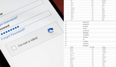 Paviešinti populiariausi Lietuvos gyventojų prisijungimų slaptažodžiai: pasitikrinkite, ar jame yra jūsų? - Delfi
