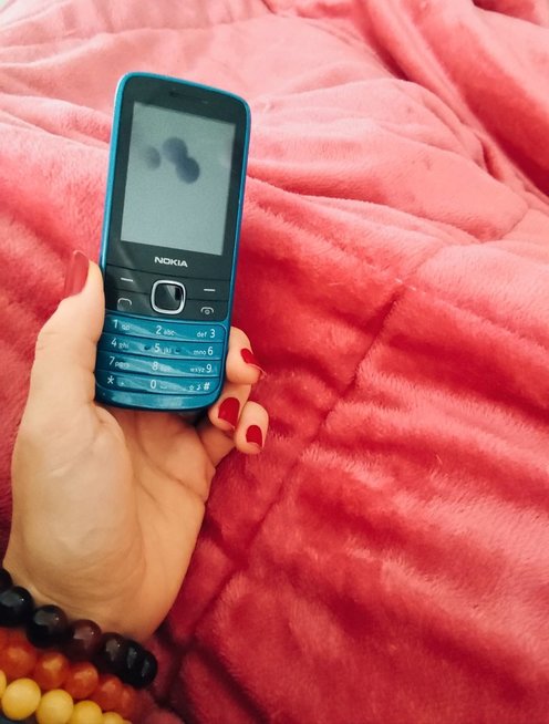 Birutės Navickaitės telefonas (nuotr. facebook.com)