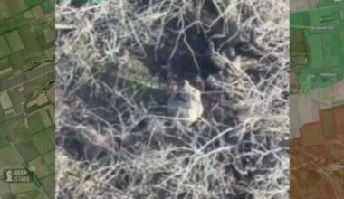 Karas Ukrainoje. Rusai Zaporižios srityje įvykdė egzekucijas dviem Ukrainos karo belaisviams - Delfi